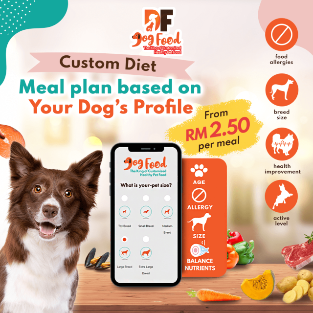 DF Dogfood malaysia