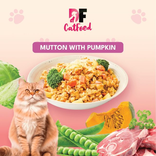 DF CatFood Mutton with Pumpkin Wet Cat Food – Digestive-friendly, high-protein recipe for healthy digestion and coat.
